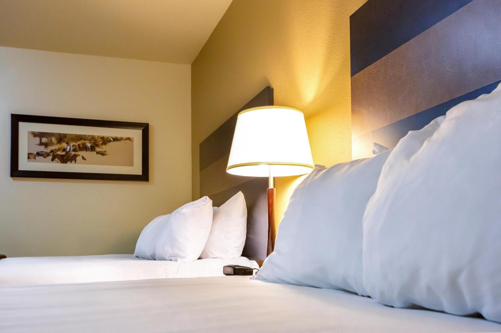 Welcome Suites - Minot, ND photo 4