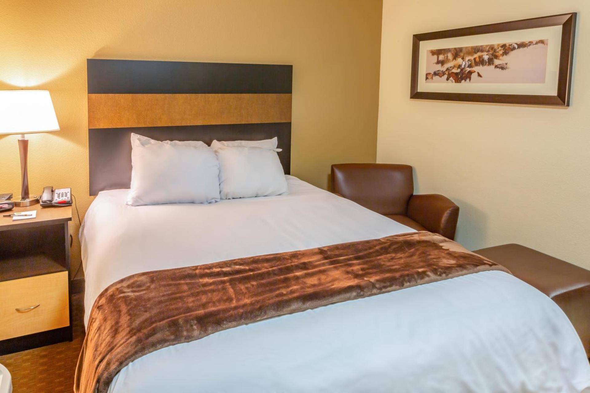 Welcome Suites - Minot, ND photo 8