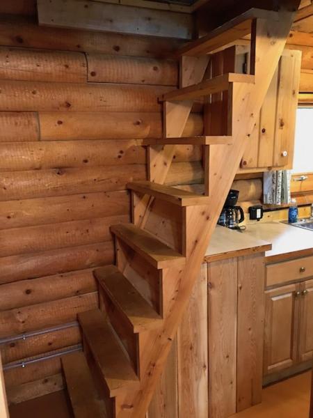 Talkeetna Lakeside Cabins photo 16