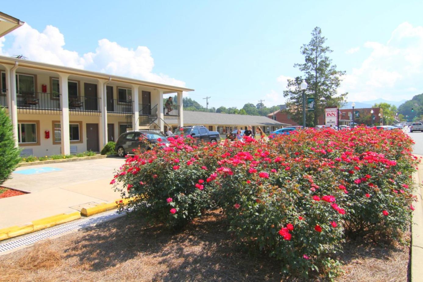 Blue Ridge Inn photo 17