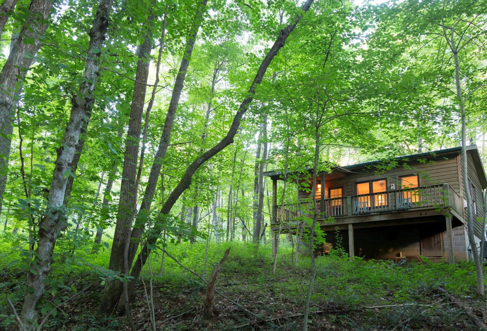 Inn & Spa at Cedar Falls photo 11