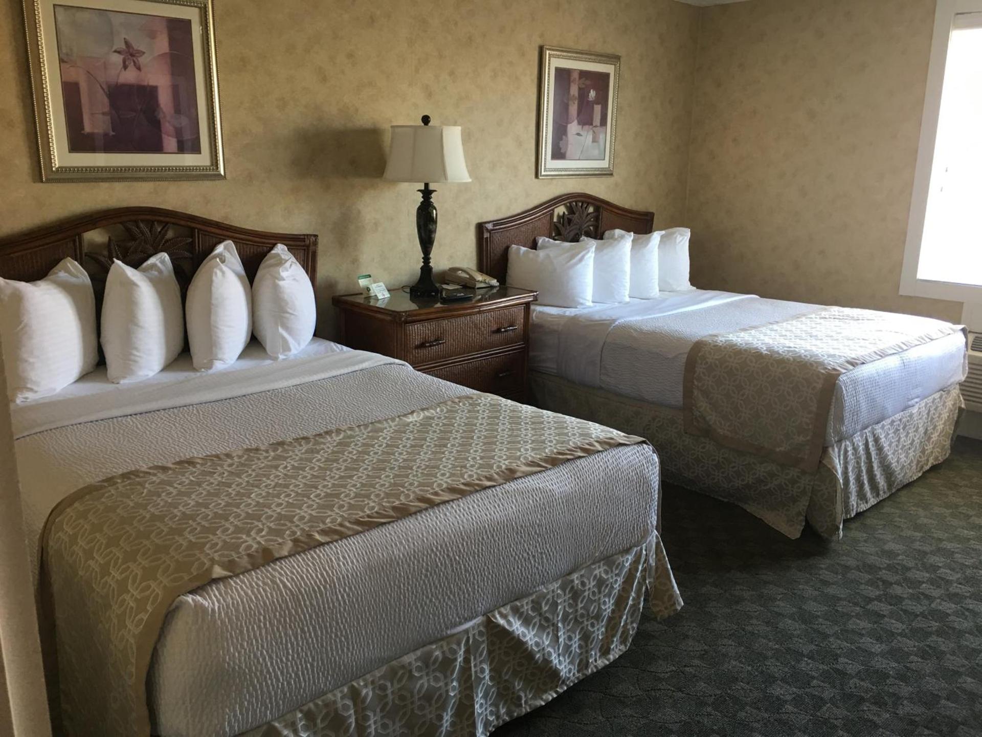 The Island House Hotel photo 6