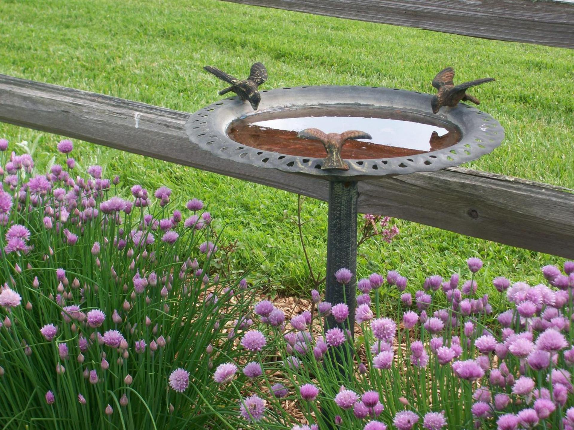 Inn & Spa at Cedar Falls photo 18