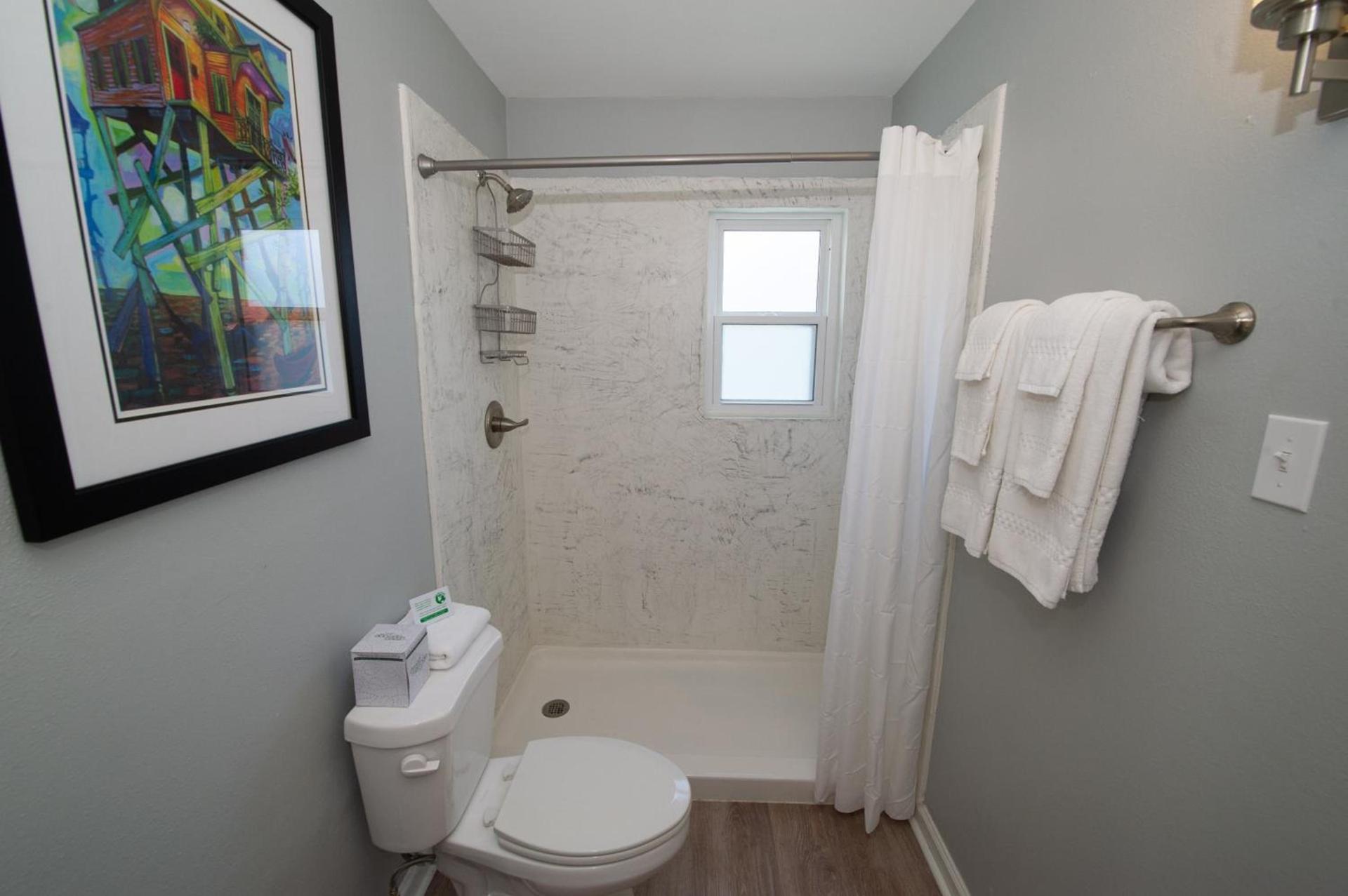 Frenchmen Orleans at 519, Ascend Hotel Collection photo 12