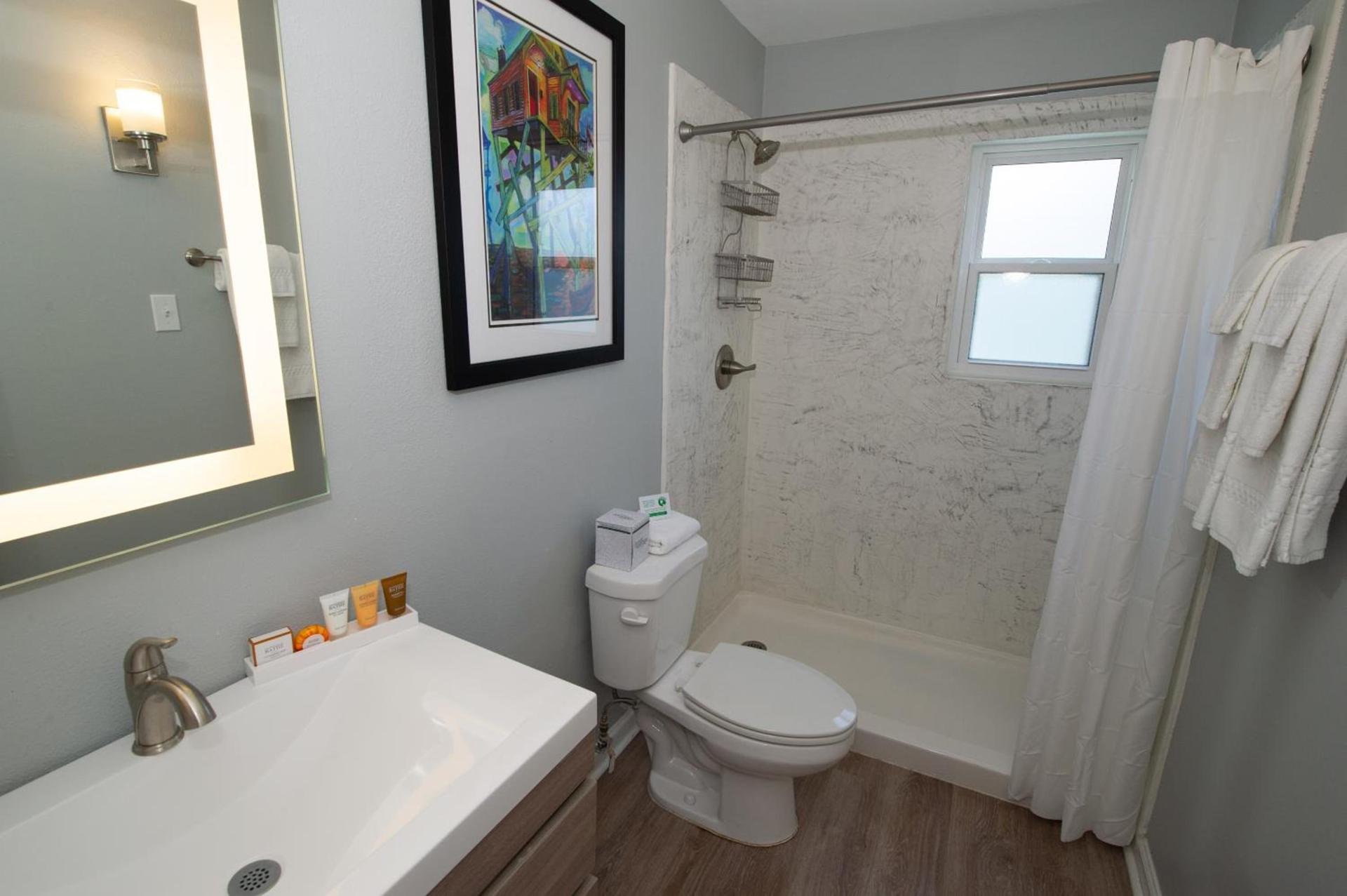 Frenchmen Orleans at 519, Ascend Hotel Collection photo 11