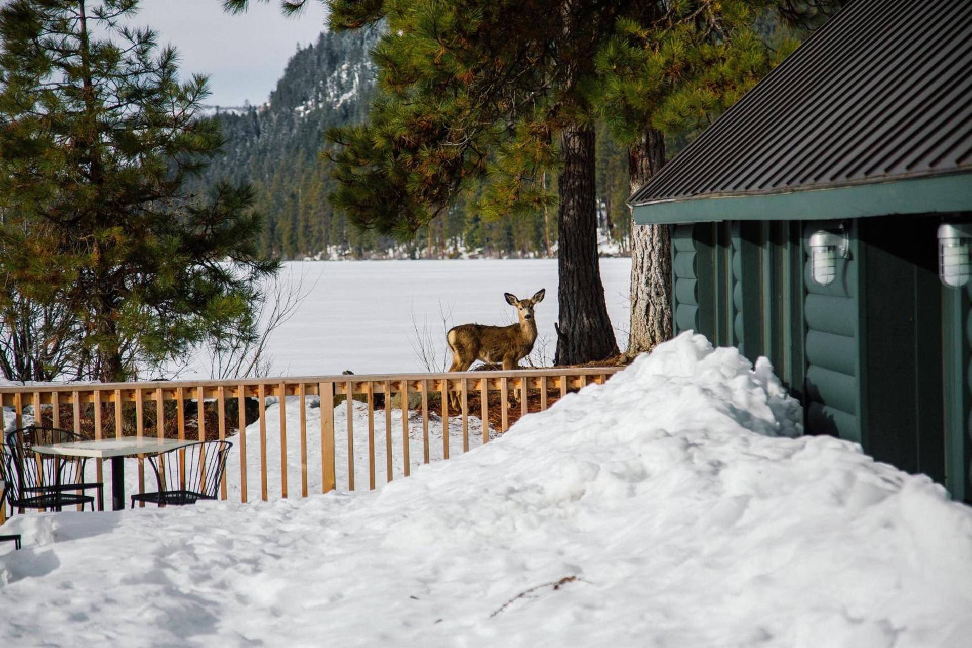 The Suttle Lodge & Boathouse photo 25