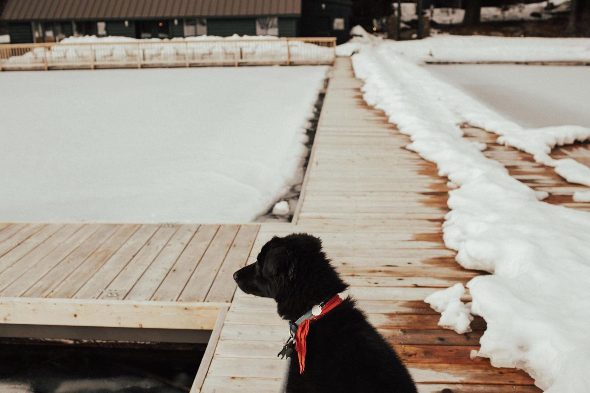 The Suttle Lodge & Boathouse photo 23