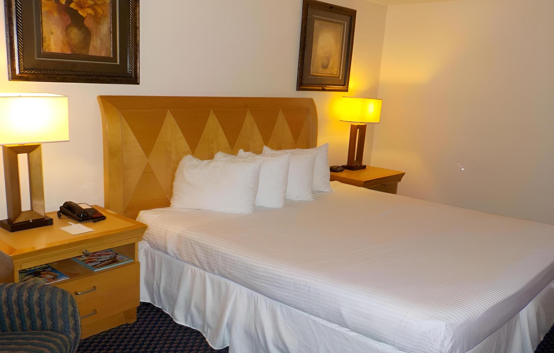 Economy 7 Inn photo 7