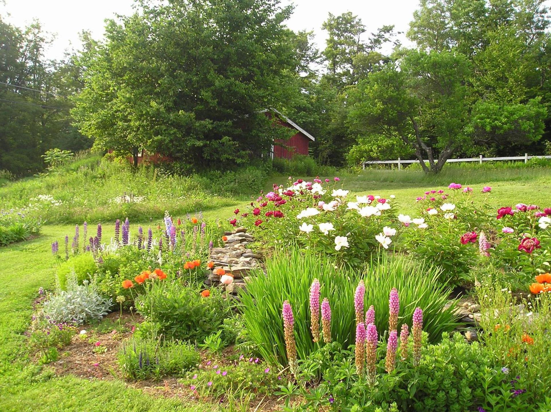 Cooper Hill Inn photo 12
