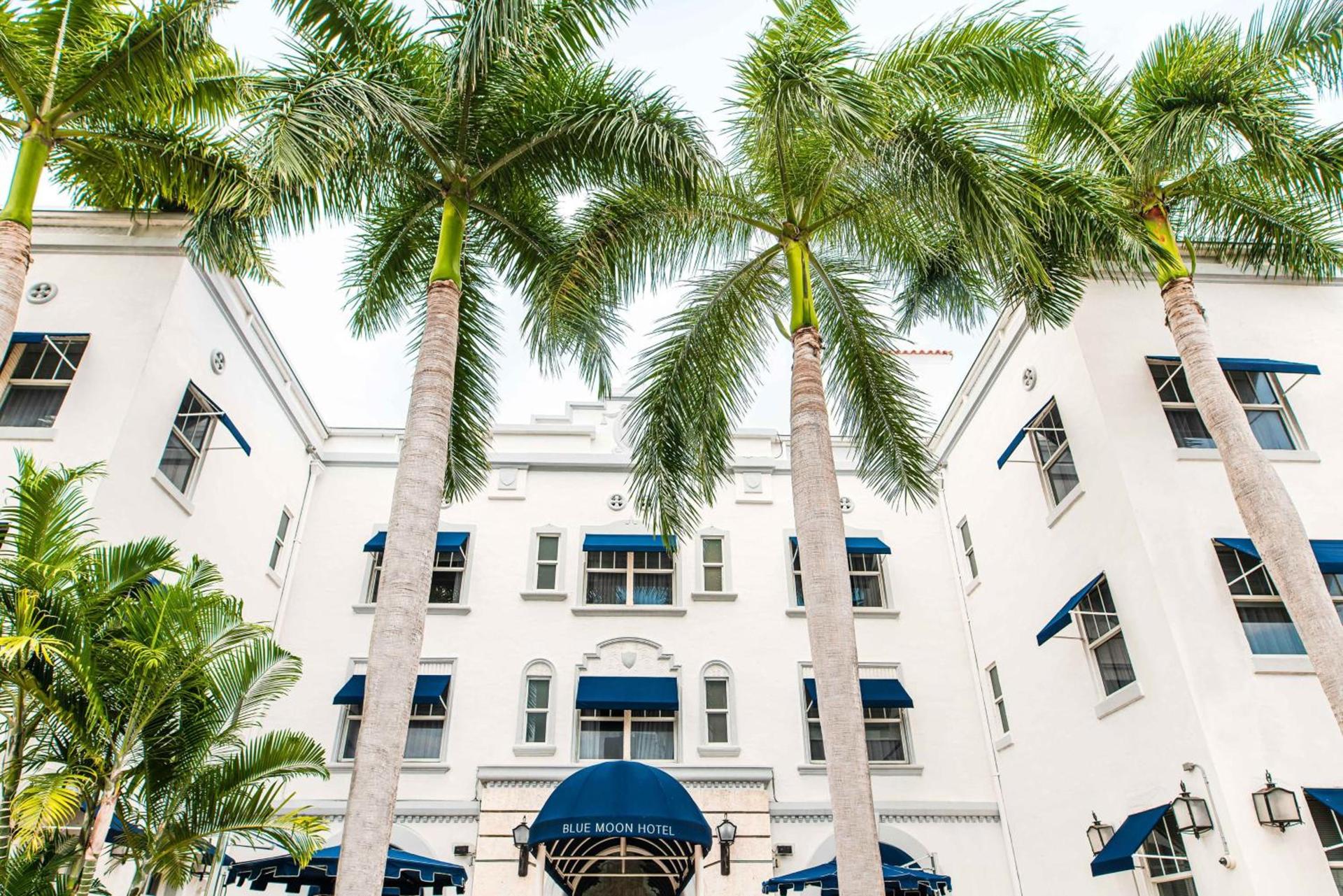 Blue Moon Hotel photo 1