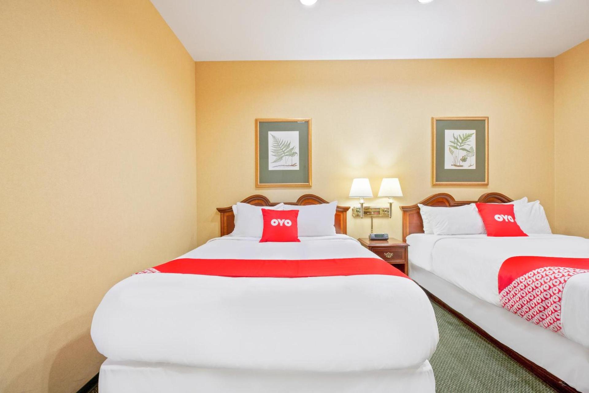 OYO Hotel St Louis Downtown City Center MO photo 45