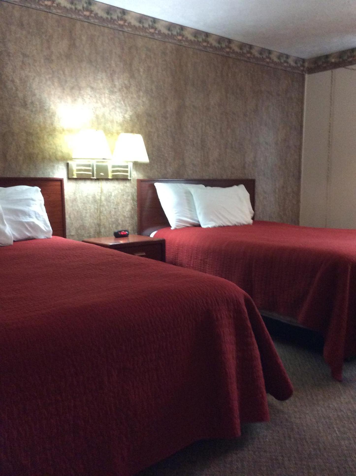 Sports Club Motel photo 16