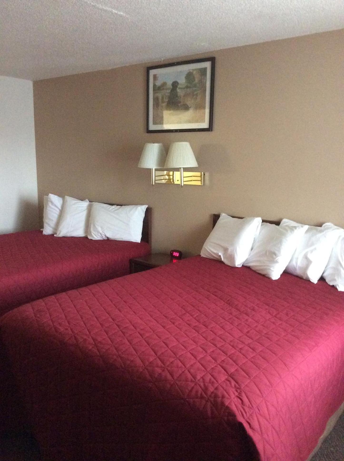 Sports Club Motel photo 17