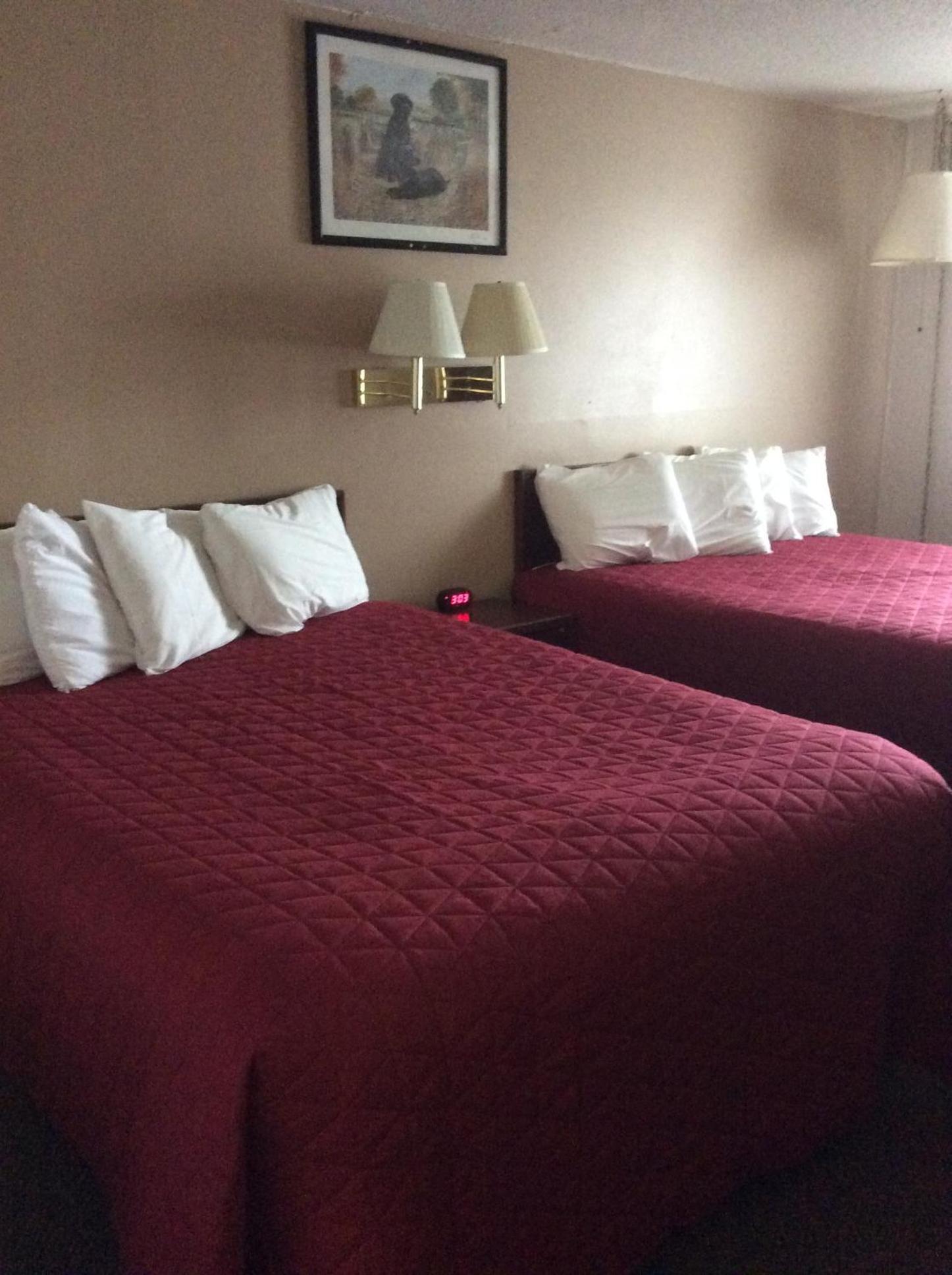 Sports Club Motel photo 14
