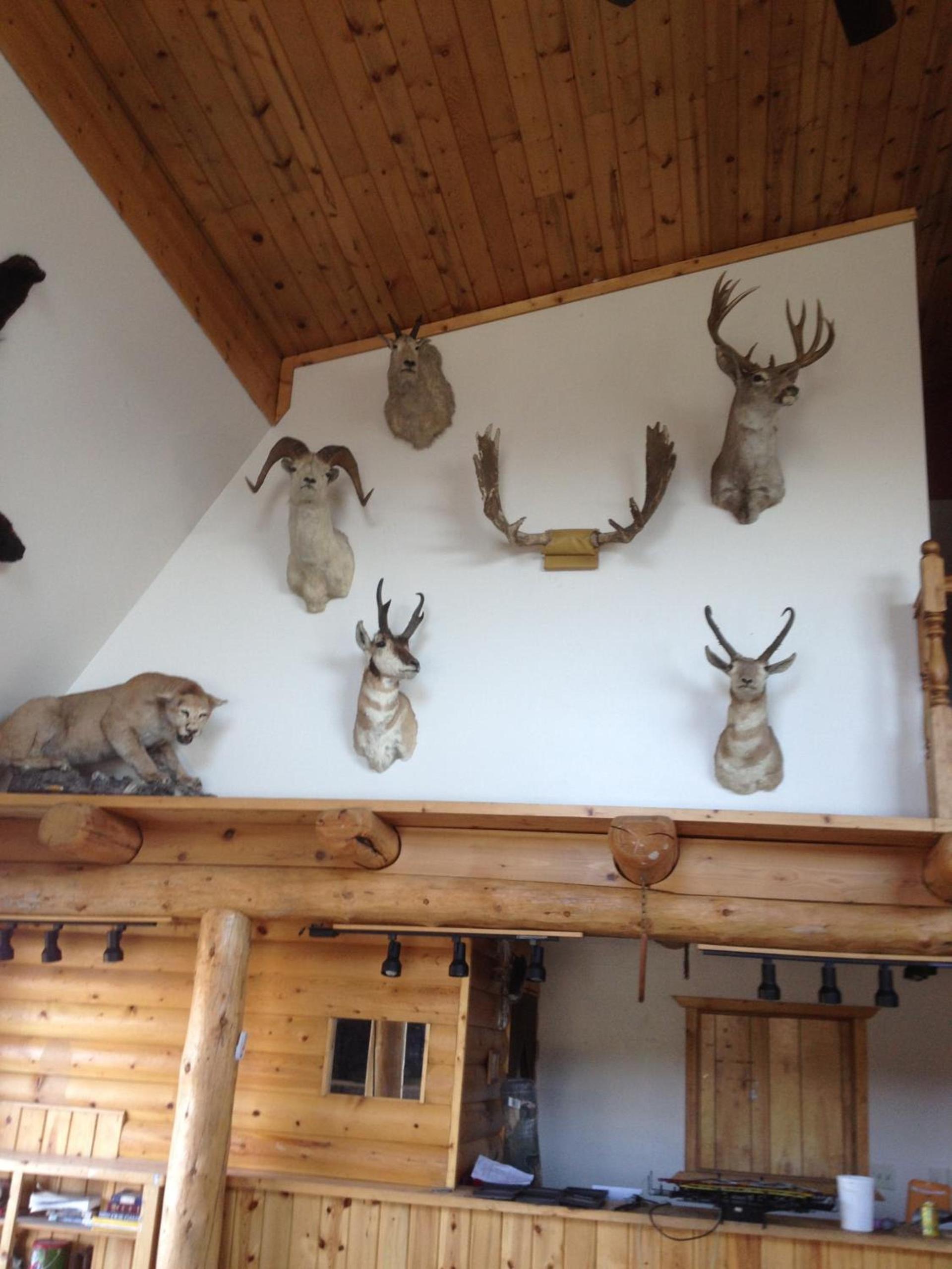 Duck Lake Lodge photo 21