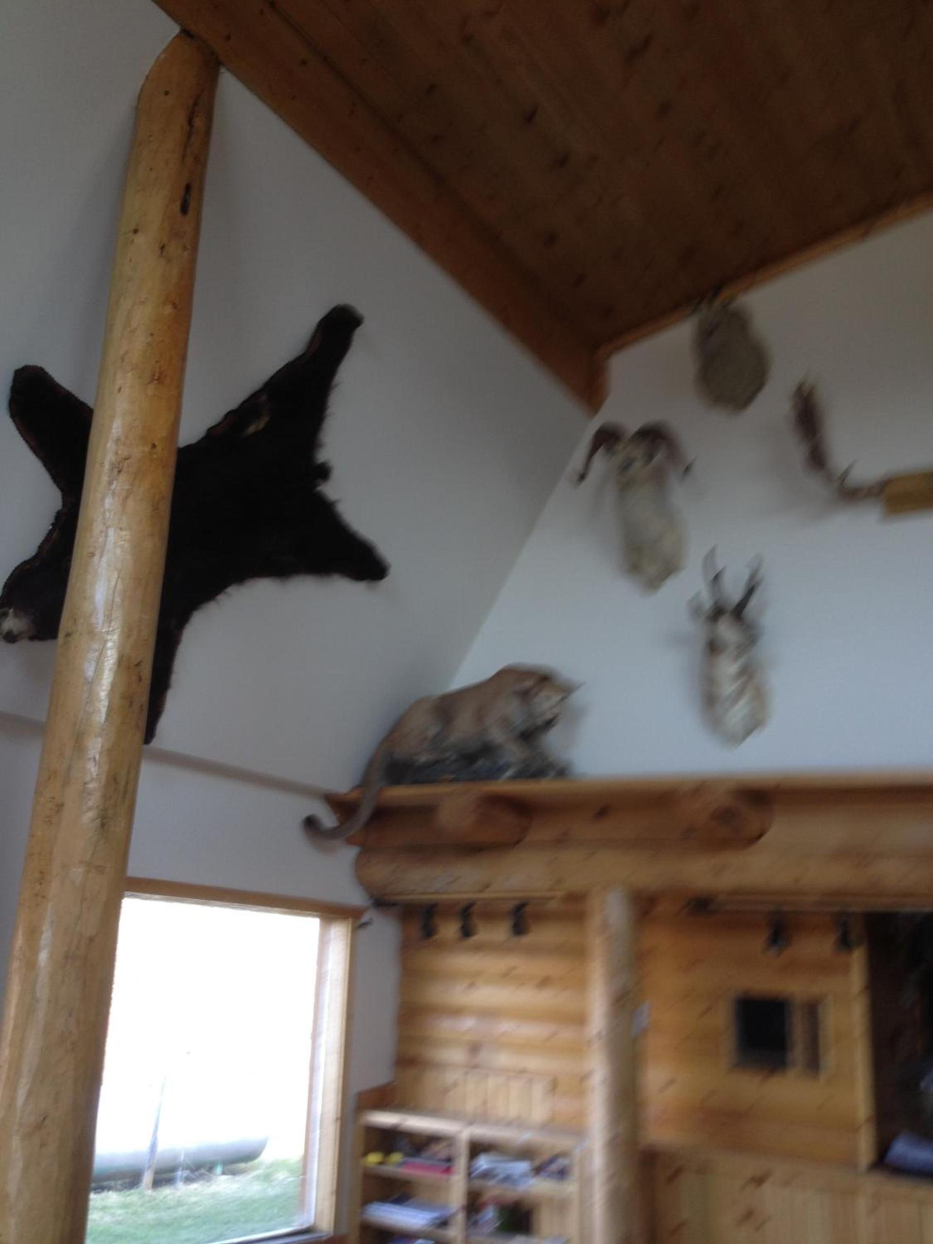 Duck Lake Lodge photo 33