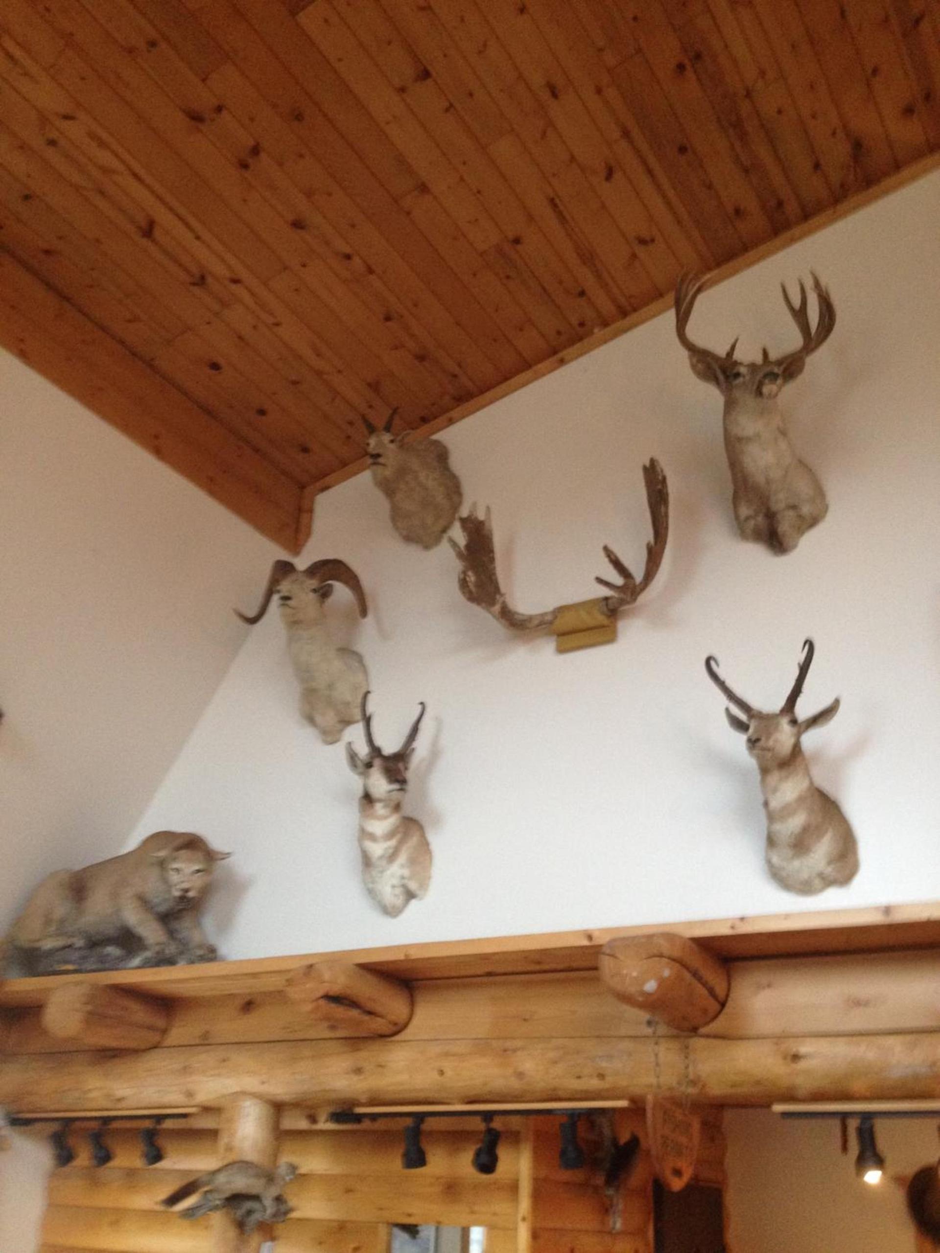 Duck Lake Lodge photo 44