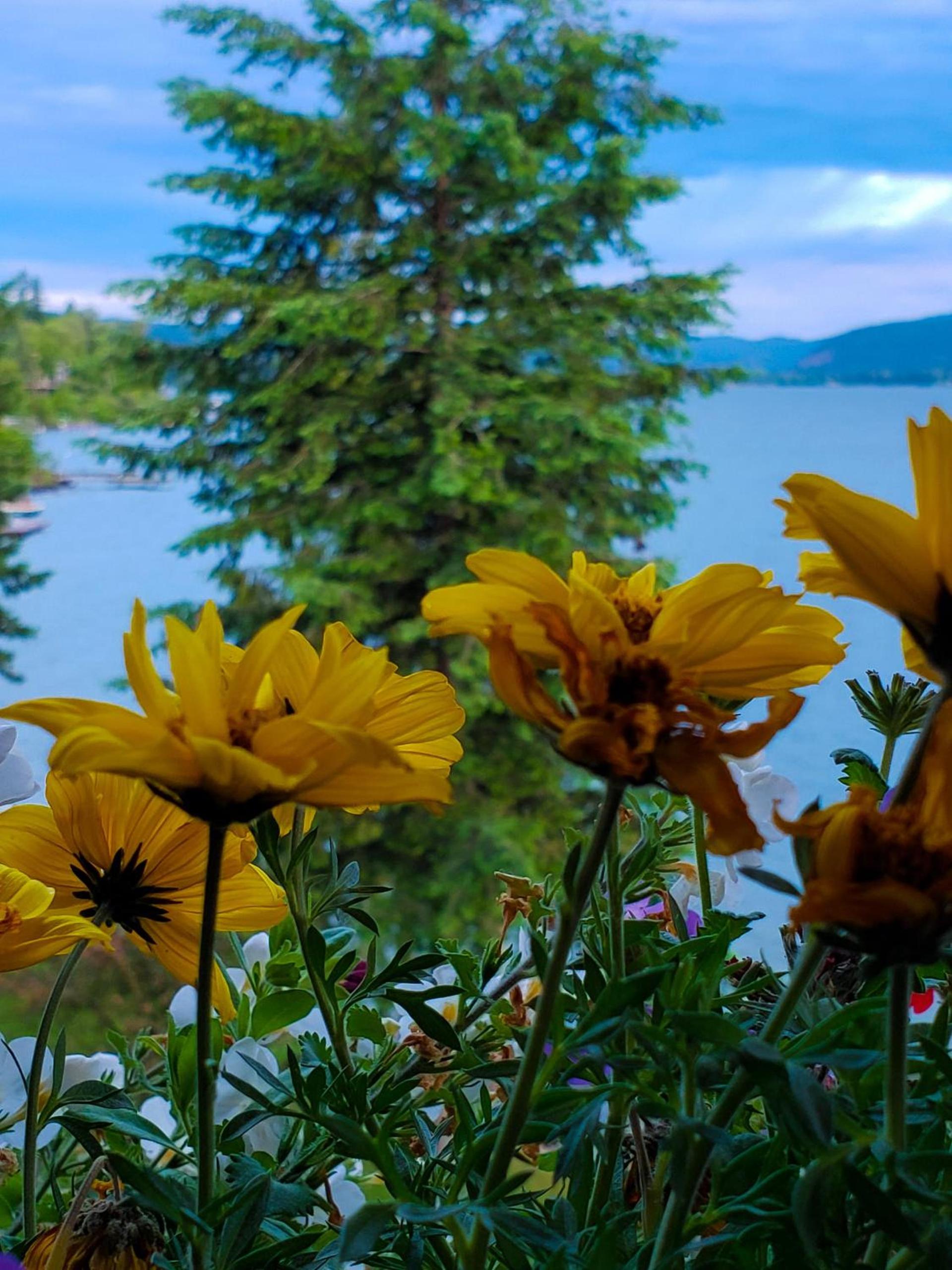 Lodge at Sandpoint photo 24