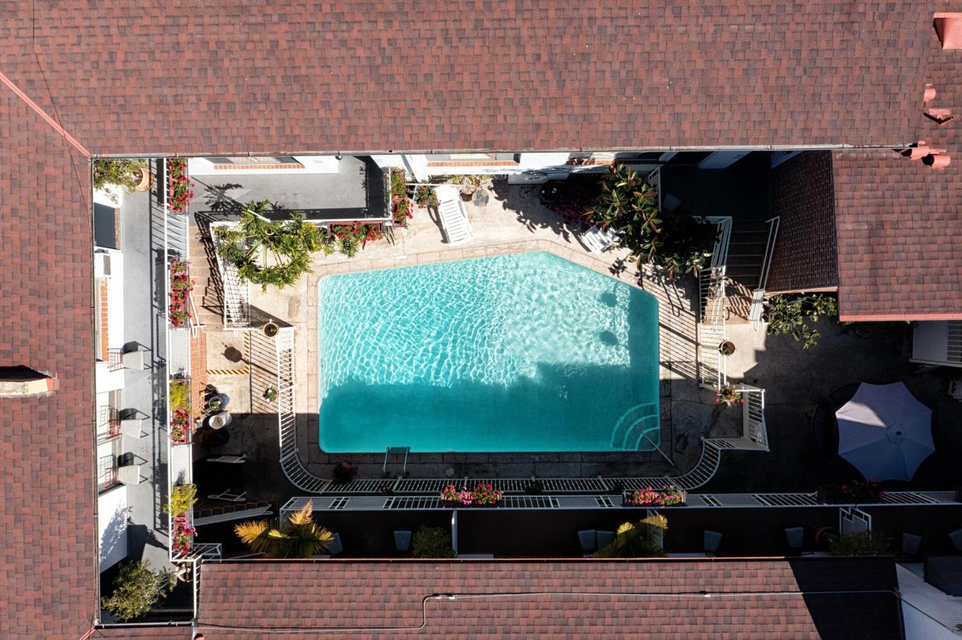 Hollywood Downtowner Inn photo 3