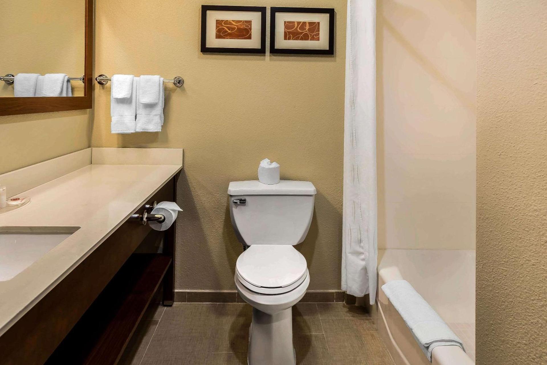 Comfort Suites San Jose Airport photo 18