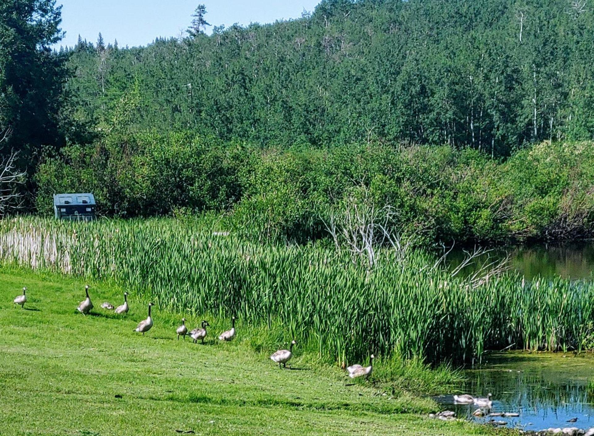 Duck Lake Lodge photo 31