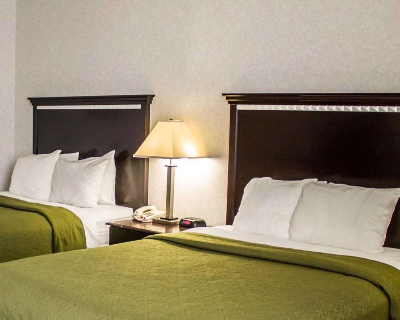 Quality Inn & Suites Mansfield photo 10