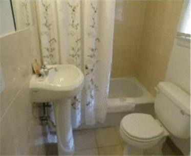 Grand Junction Palomino Inn photo 19