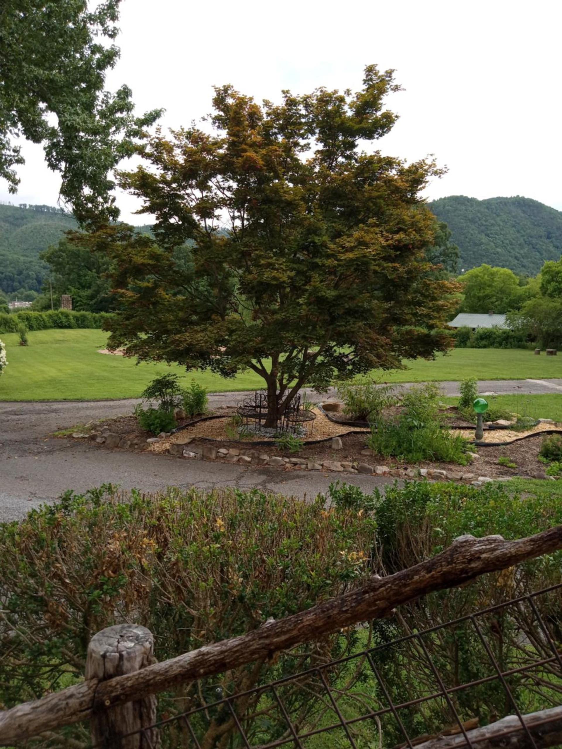 Laughing Heart Lodge photo 26