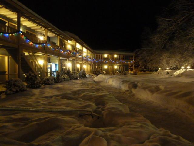 Viking Motel photo 1
