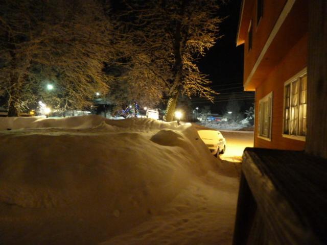 Viking Motel photo 25