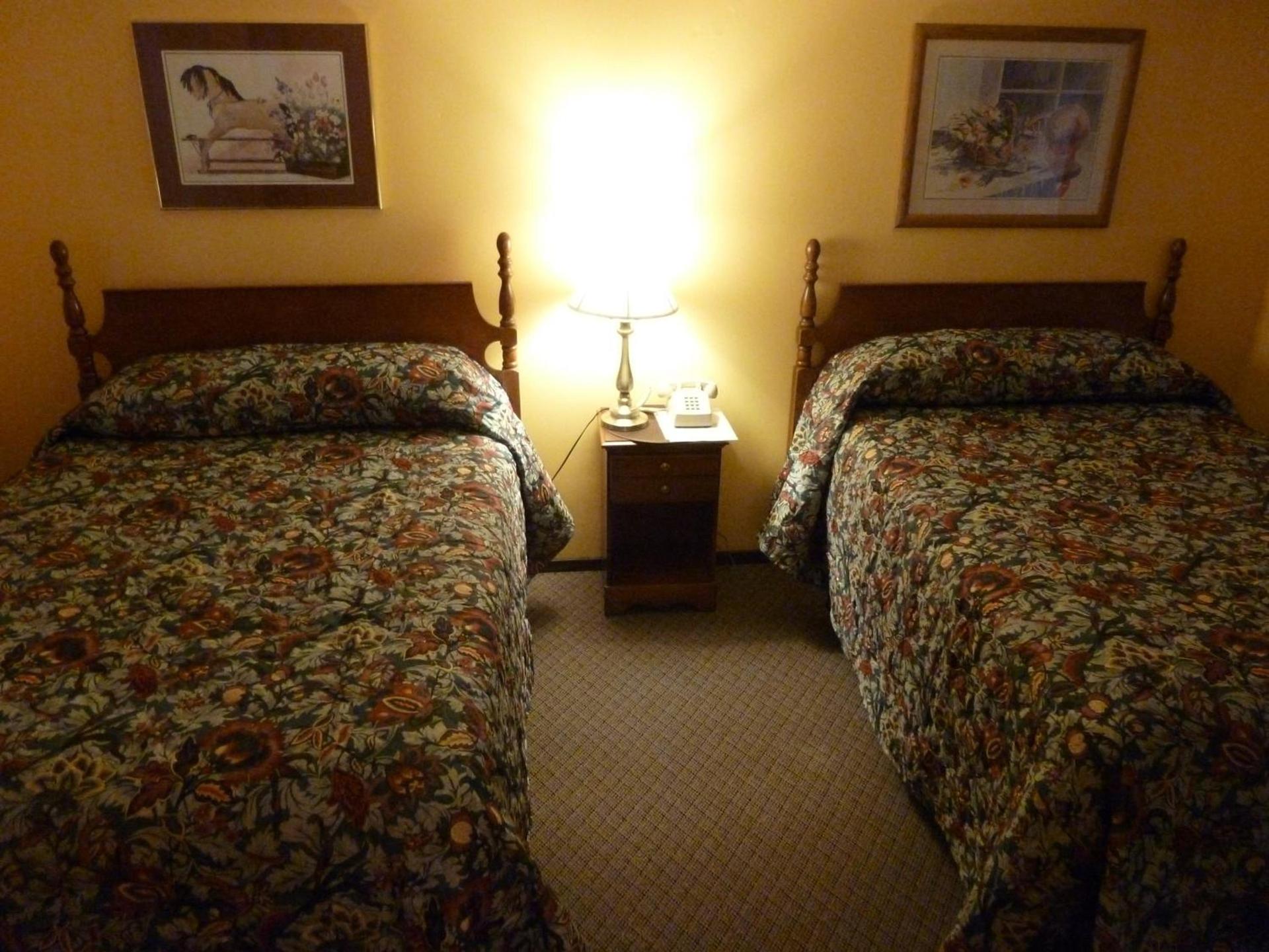 Viking Motel photo 5
