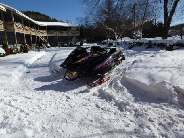 Viking Motel photo 23