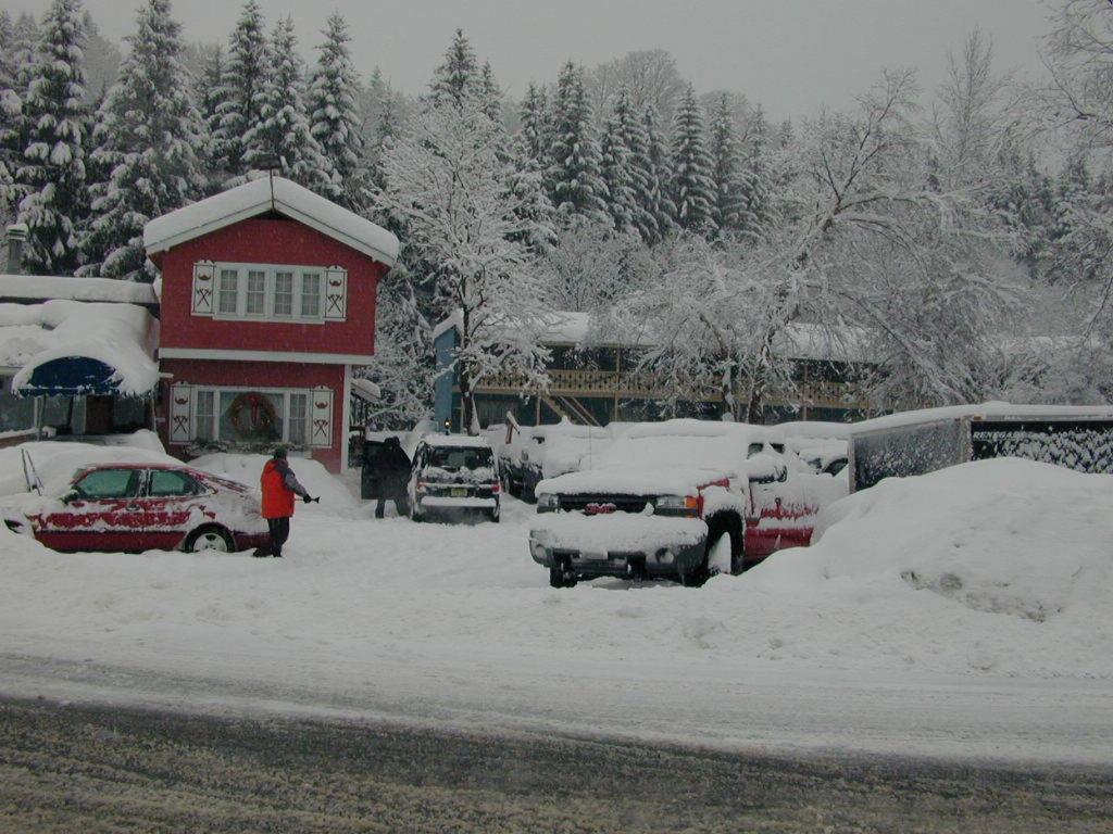 Viking Motel photo 26