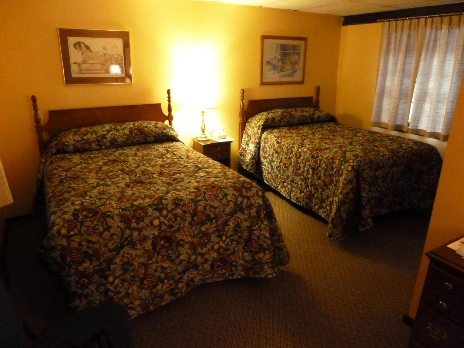 Viking Motel photo 9