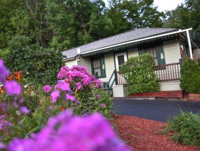 Adirondack Sunrise Lodge photo 24