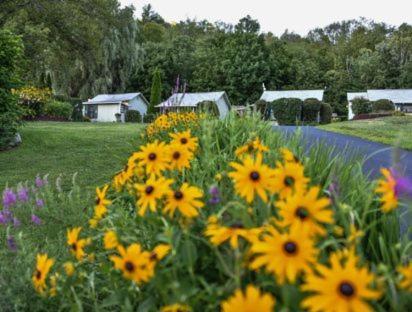 Adirondack Sunrise Lodge photo 27