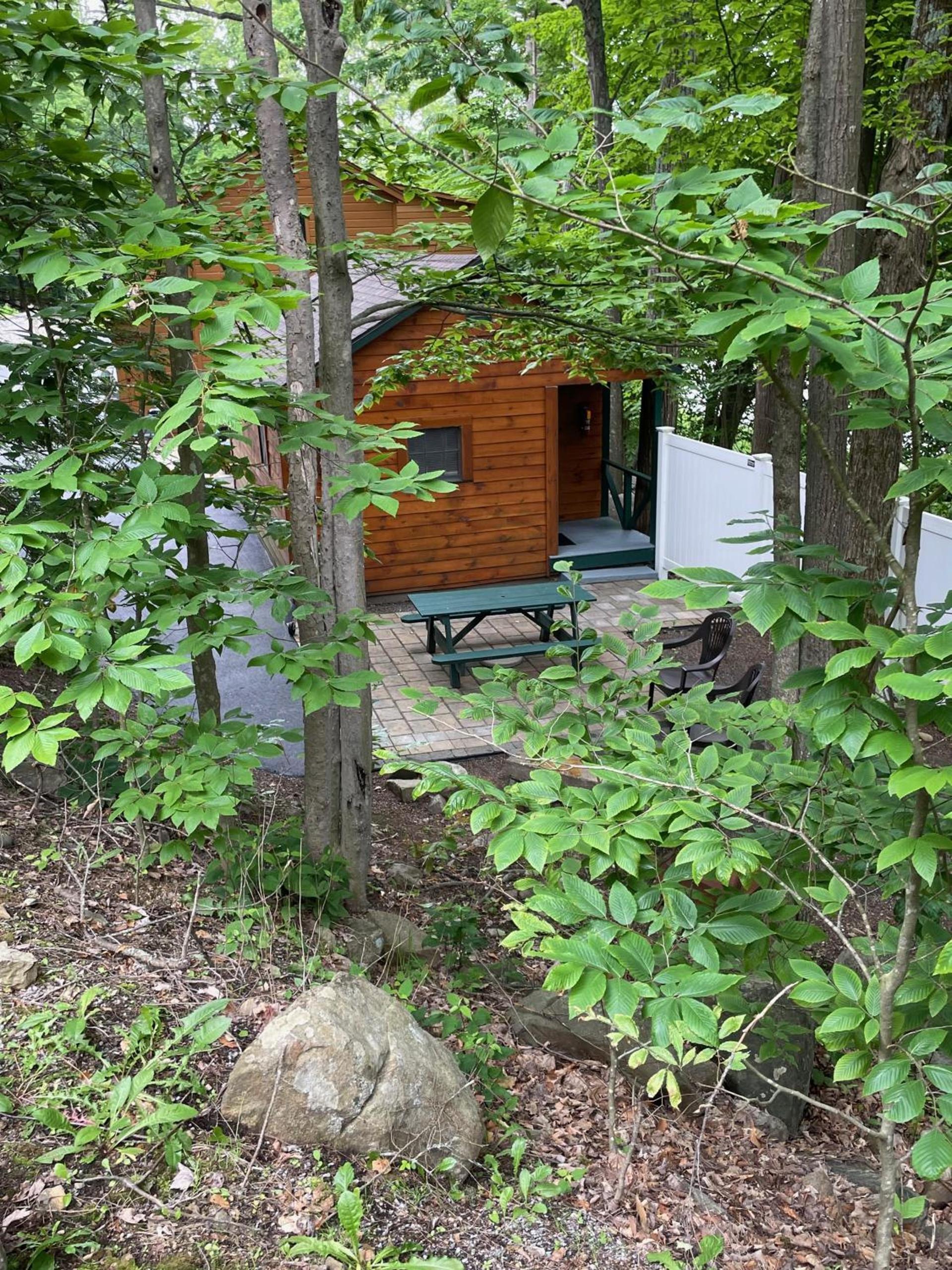 English Brook Cottages photo 87