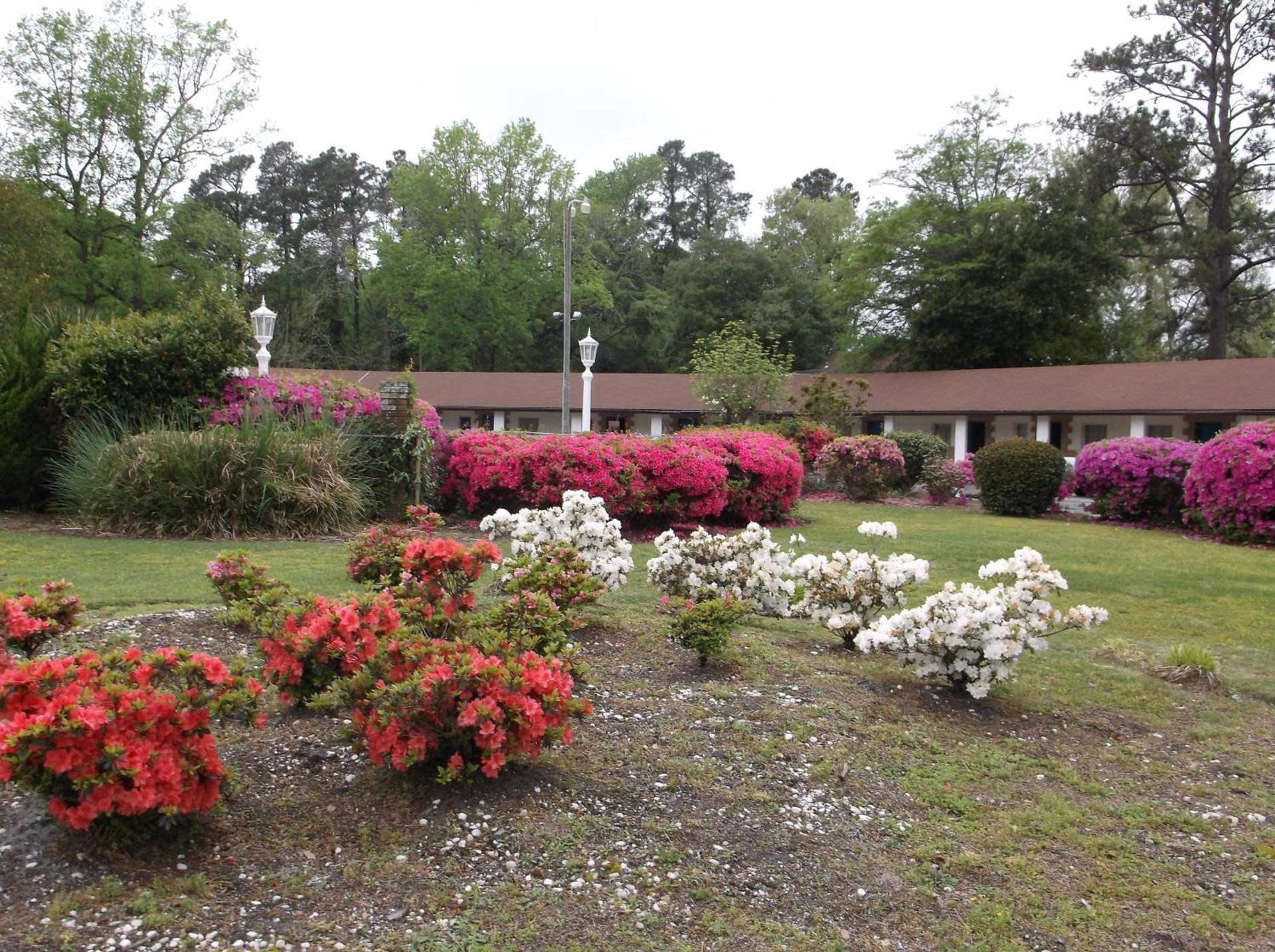 Azalea Inn & Suites photo 1