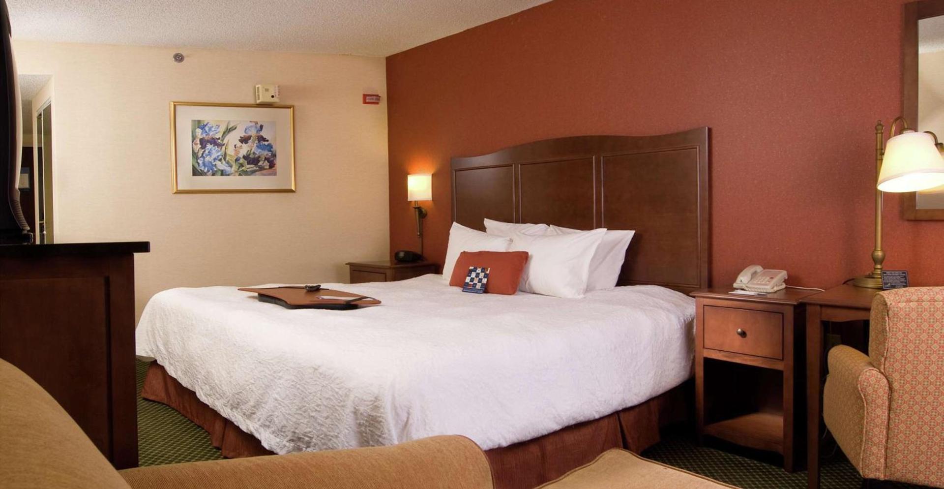 Hampton Inn Atlanta-North Druid Hills photo 25