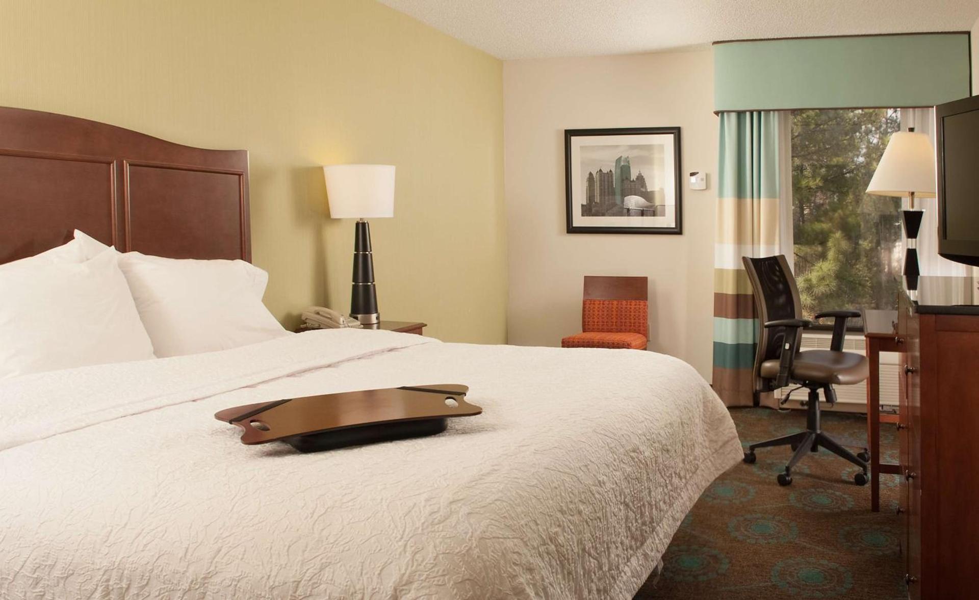 Hampton Inn Atlanta-North Druid Hills photo 13