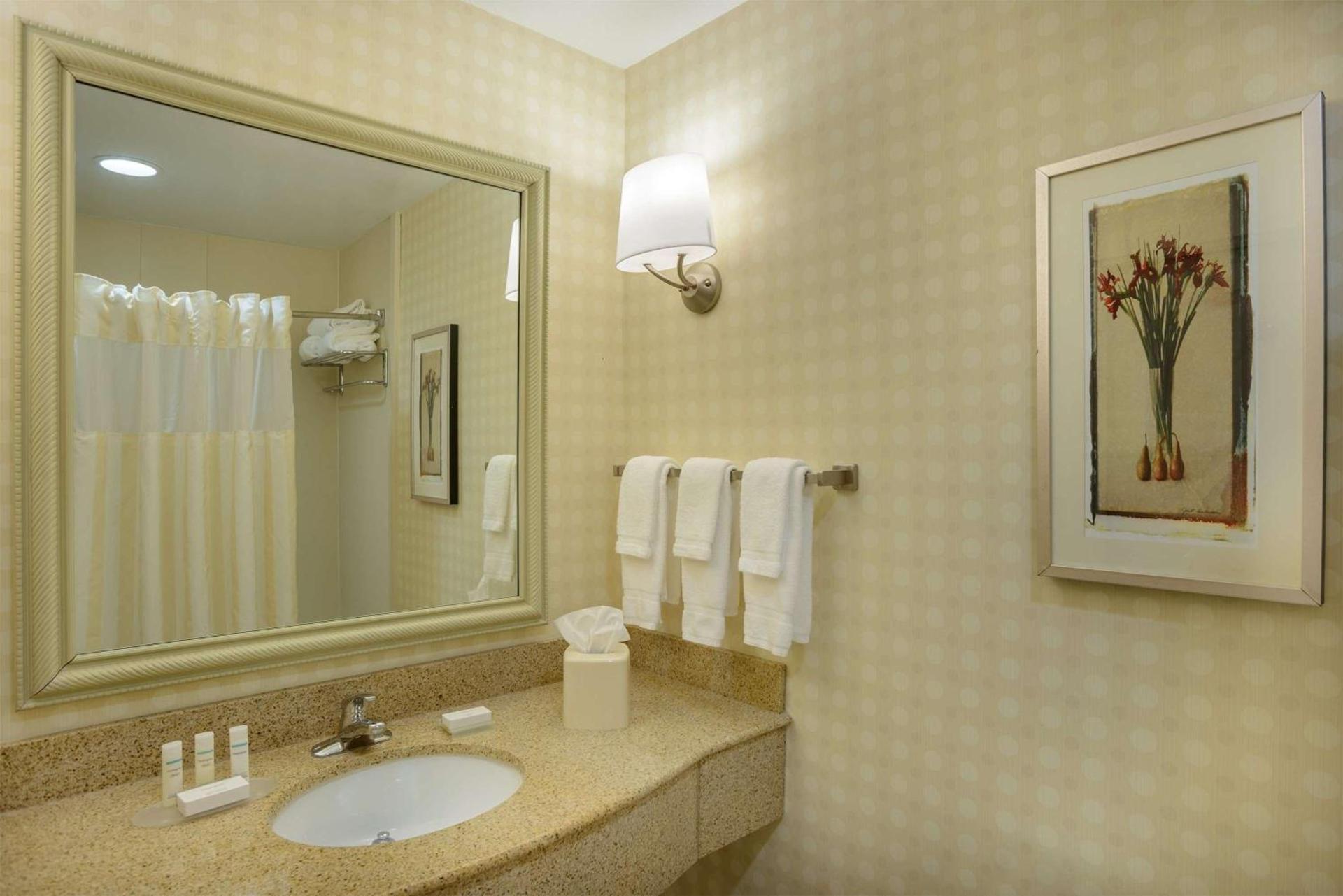 Hilton Garden Inn Joplin photo 12