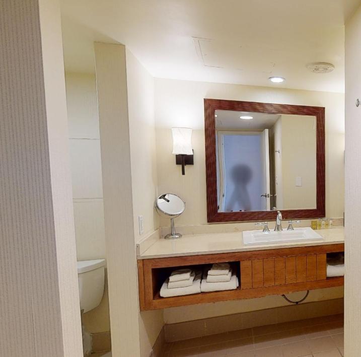 Tropicana Las Vegas a DoubleTree by Hilton Resort & Casino - Free Parking photo 24