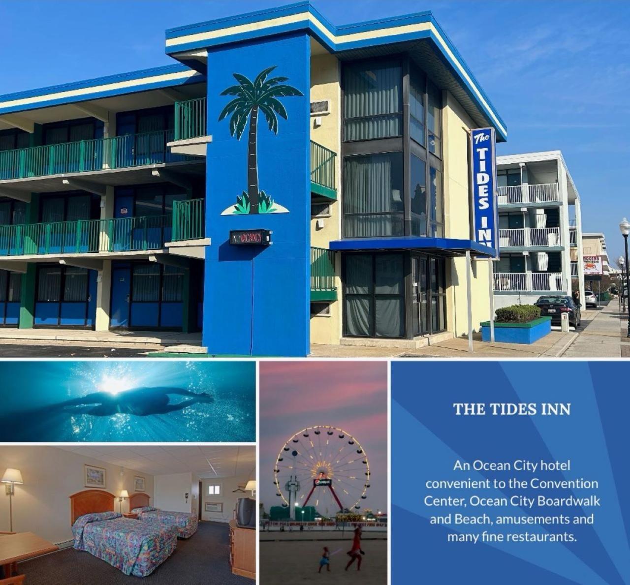 Tides Inn photo 1