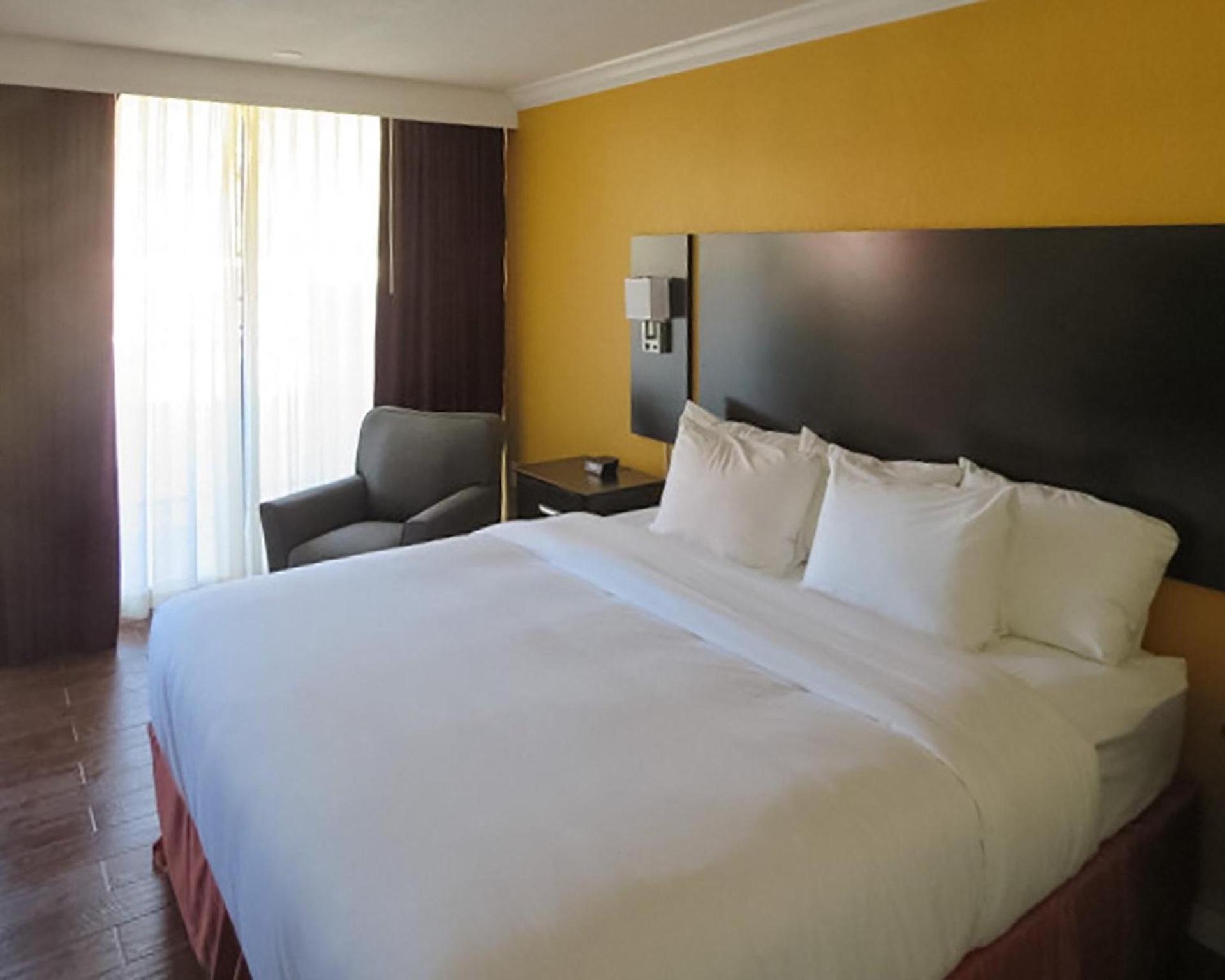 The Link Hotel on Sunrise photo 11