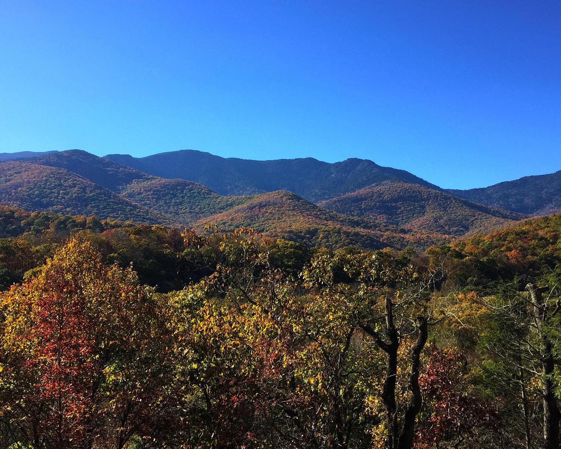 Mt Mitchell Cabin Rentals photo 8