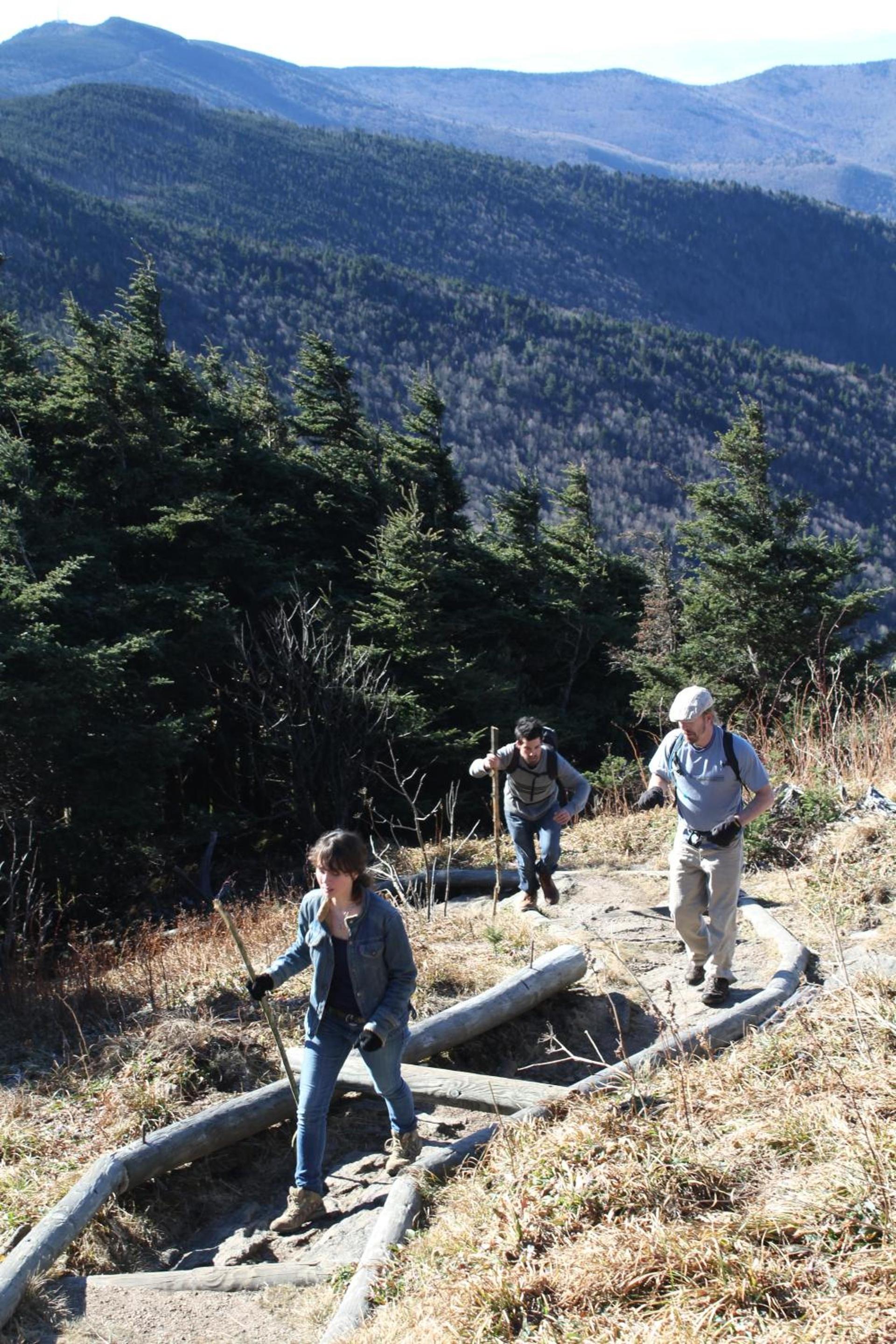 Mt Mitchell Cabin Rentals photo 18