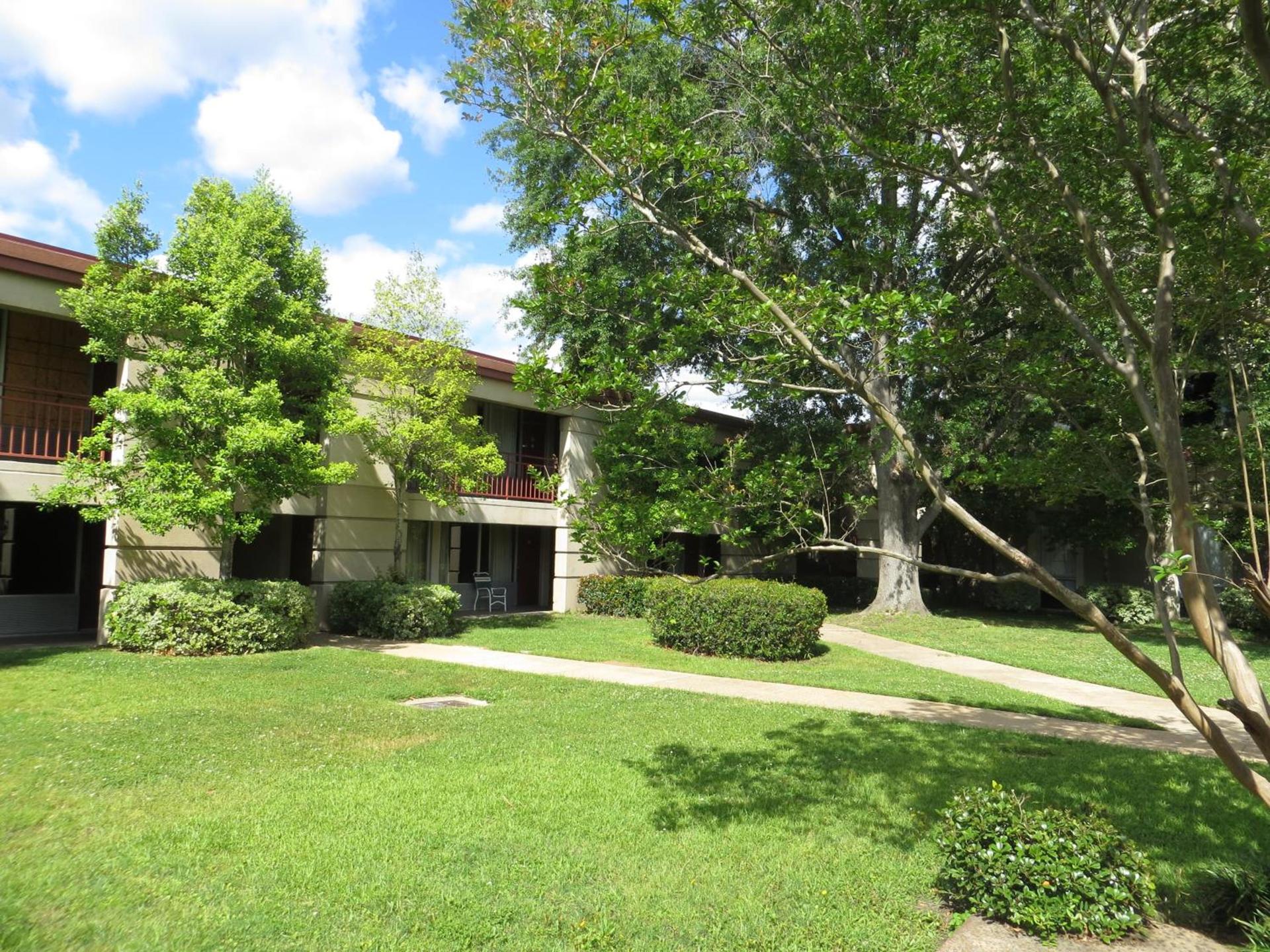 Olive Tree Hotel and Banquet halls photo 17