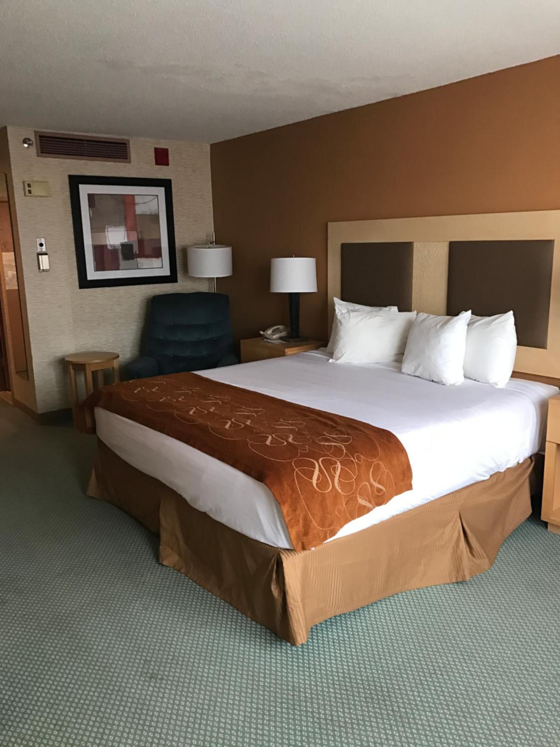 Trip Hotel Ithaca photo 6
