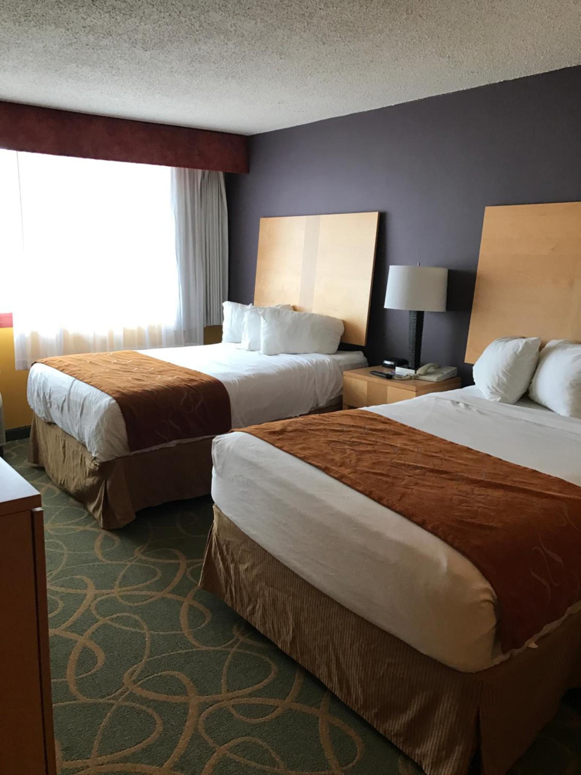 Trip Hotel Ithaca photo 4