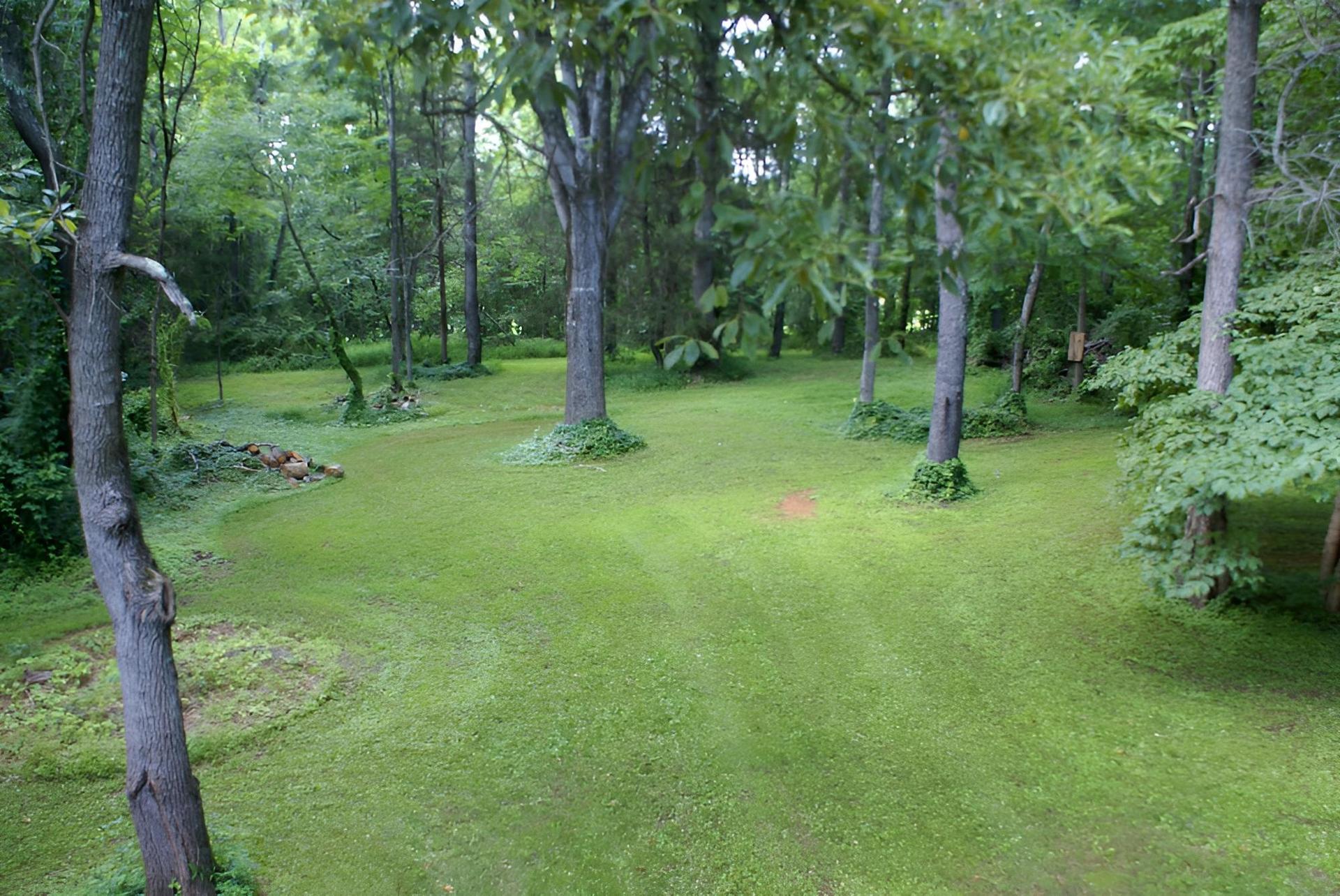 The Ebenezer House Bed & Breakfast photo 20